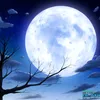 dasai_931