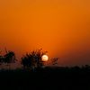 rajper.naveed