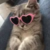 dnsqwx1