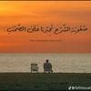 aly3910