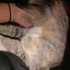 silvi3268