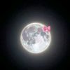wabosogashefollowdheh