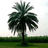 hridoykhan536751