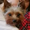 tiktok_beginner82