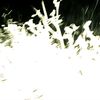 moonleader_3