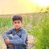 aijazalichandio163