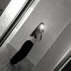 diana_20688