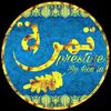 t_houda37