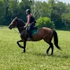mbr_0830