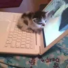 luckisavedme777