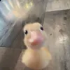 egggnaa