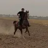ئەسپ سوار🐎