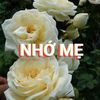 thanh.tho09215