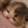 bobiies_isa14