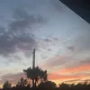 lqurenxcqrty