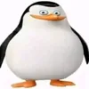 kripwip
