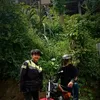manggoler135
