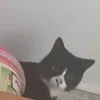 majeczka.bajeczka