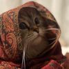 louli.muhamed