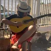 nivalho