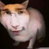 gk_vlad33