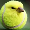 adrian._737