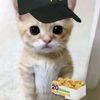 mr_balls12
