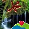 elsaid_taher263