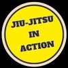 jiujitsuinaction