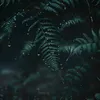 fadinglight