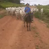 matheusmatheus504