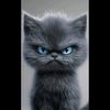 michael.ho2123