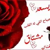 user8819944027748