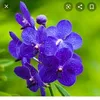 loannguyn9486