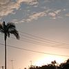 rdawes09_
