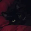 ynn_05_