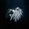 lerock_8