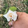 72_yorgun_72