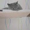 kattyschymetzko