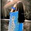 jatirpicchibow