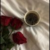rayanalenzi21