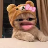 hoaianhiuoi