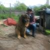 leonidr280868