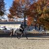 Fiordland Equestrian LLC | NJ