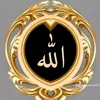 amahmed_5