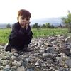 dimsaradar