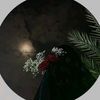 mehar.zadi4303