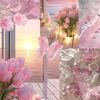 eman.ashraf030
