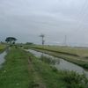 bonari_com