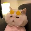 _ngmyngan_19